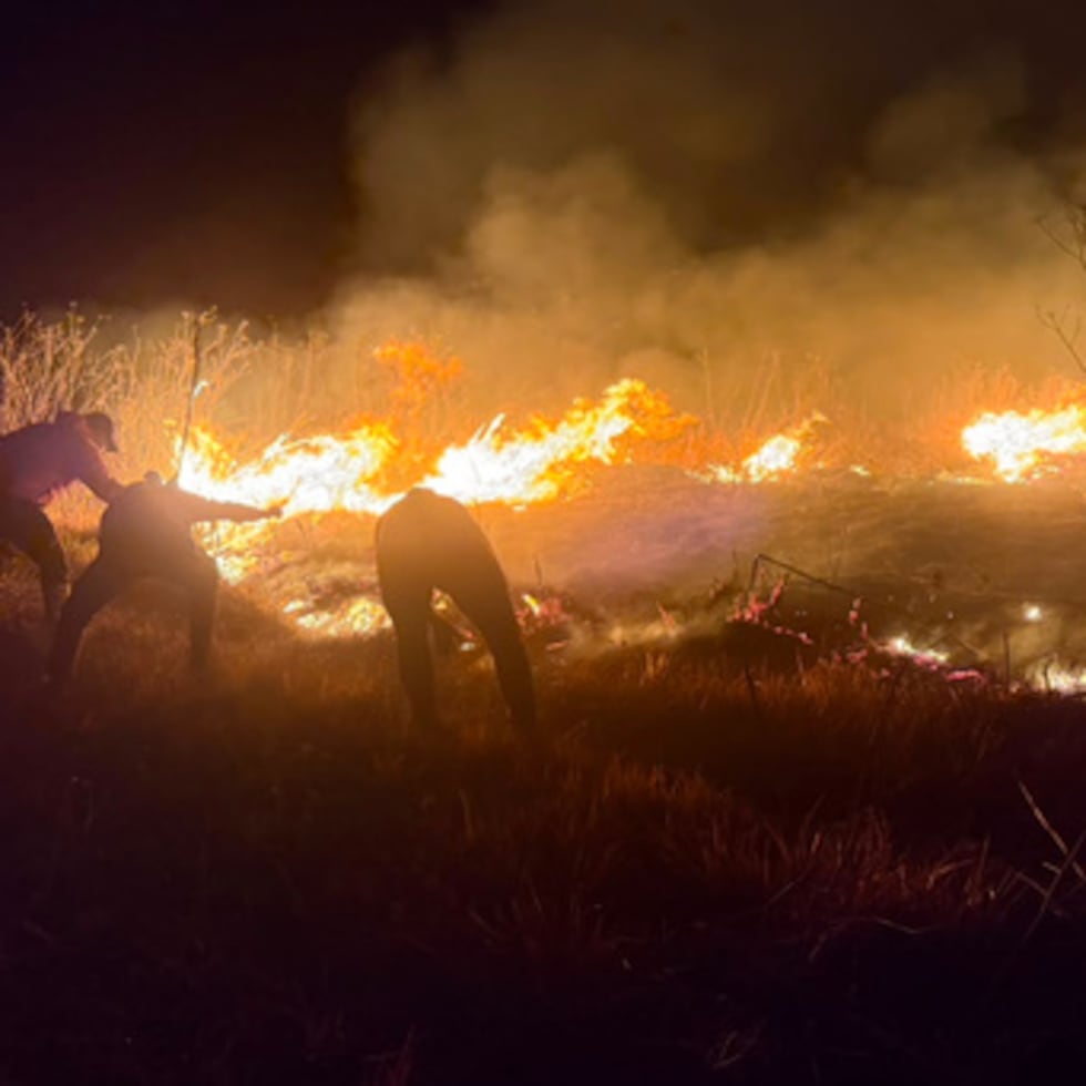 La Agencia de Meteorología, Climatología y Geofísica de Indonesia indicó que los fuertes vientos y la vegetación extremadamente seca están acelerando la propagación de los incendios.