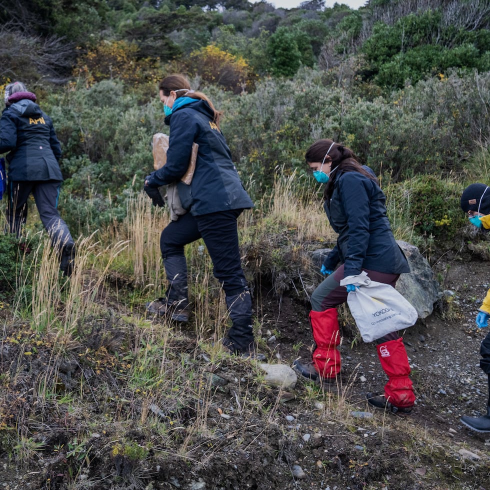 Científicos argentinos recogen trampas colocadas en distintos puntos de Ushuaia, Argentina, el martes 19 de mayo de 2026.