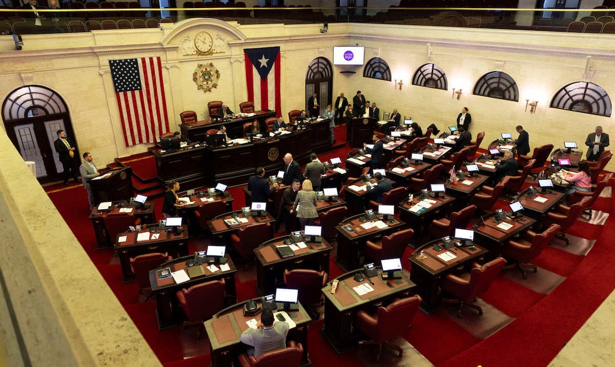 Senado aprueba legislación para que documentos en los portales del gobierno estén disponibles en inglés y español