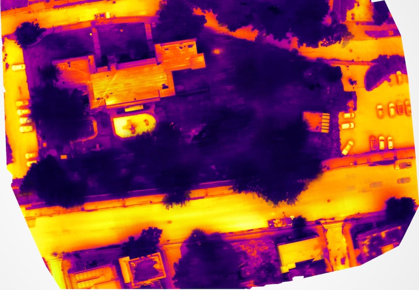 Un estudio en el que se utilizó tecnología de sensores térmicos y procesamiento geoespacial evidenció el efecto de la cobertura vegetal en la temperatura urbana. Mientras las superficies pavimentadas aparecen en tonos anaranjados (más calientes), las áreas arboladas se observan en violeta (más frescas).