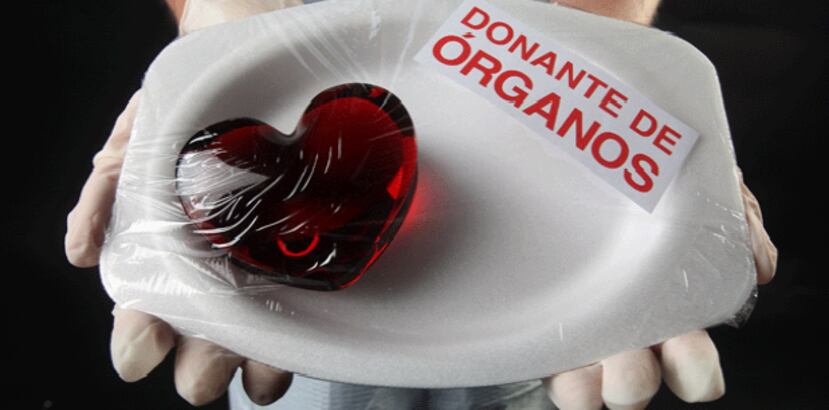 "Creí que iba a ayudar a una sola persona que no conozco, pero el hecho de que mucha gente pueda prolongar su vida es algo estupendo", declaró Zully Broussard. (Archivo)