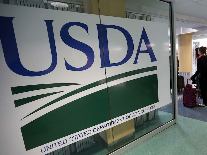 USDA Rural Development proporciona en Puerto Rico préstamos y subvenciones para ampliar las oportunidades económicas y crear empleos en las zonas rurales.