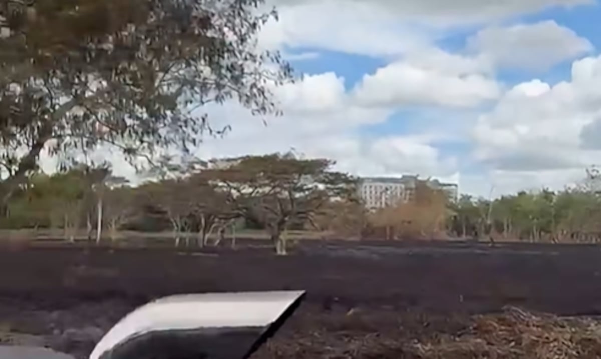 Bomberos extinguen por completo incendio forestal en el Jardín Botánico de la UPR