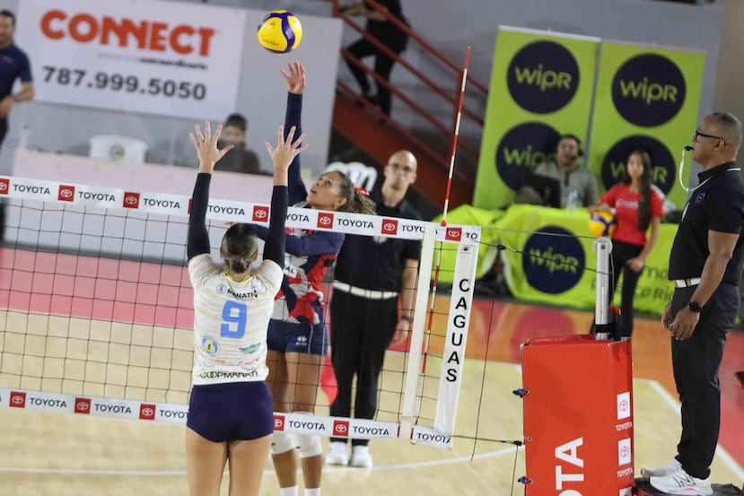 Stephanie Enright jugará ahora con las Leonas de Ponce.