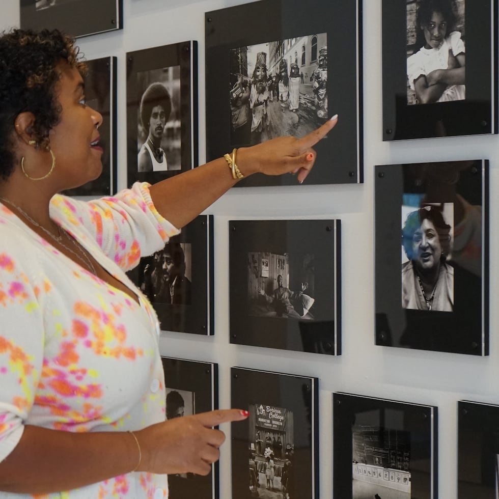 La directora del Centro de Estudios Puertorriqueños (CENTRO) del Hunter College, Yomaira Figueroa Vásquez.