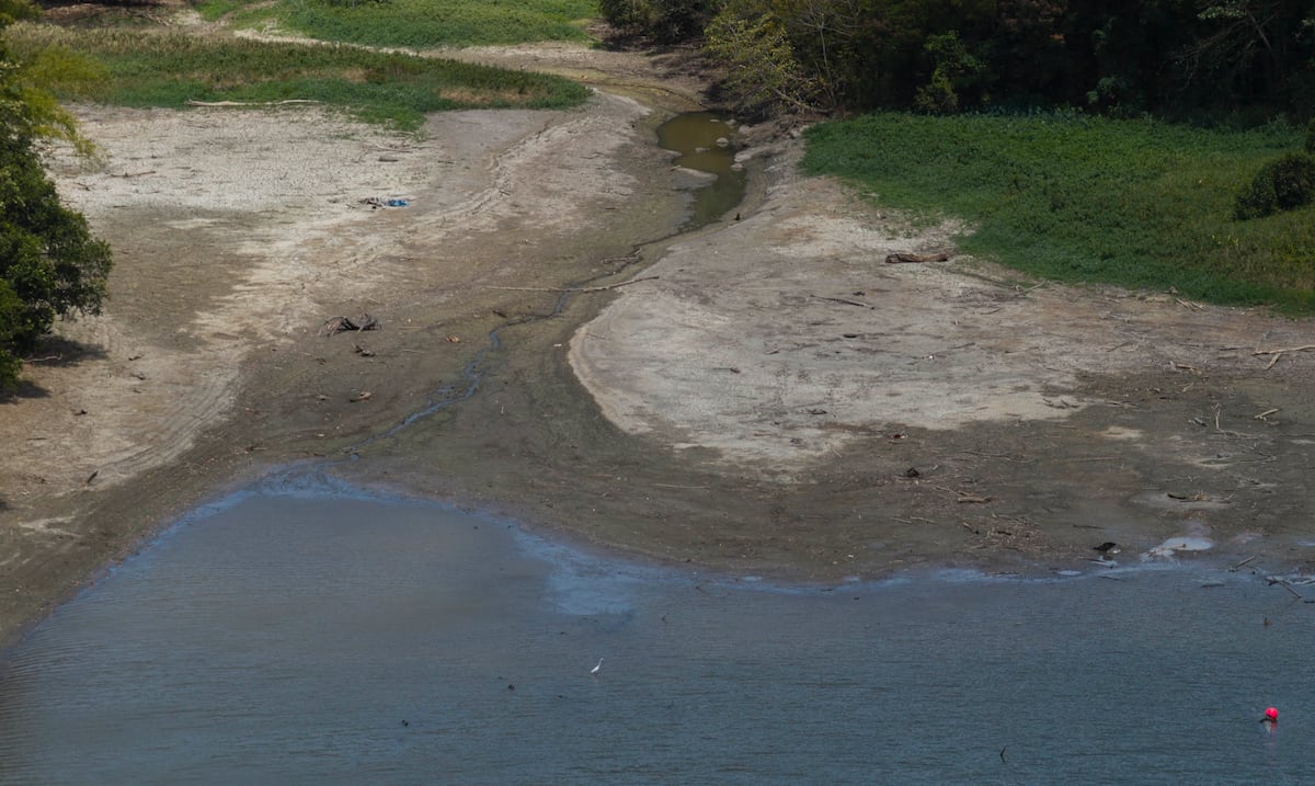 Carraízo necesita entre 12 y 15 pulgadas de lluvia para acabar con el racionamiento