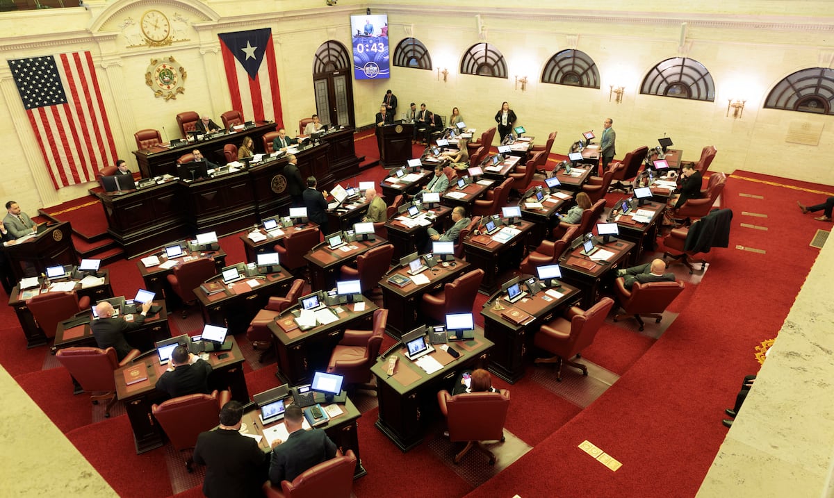Senado avala legislación que reconoce el maltrato animal como forma de intimidación contra adultos mayores