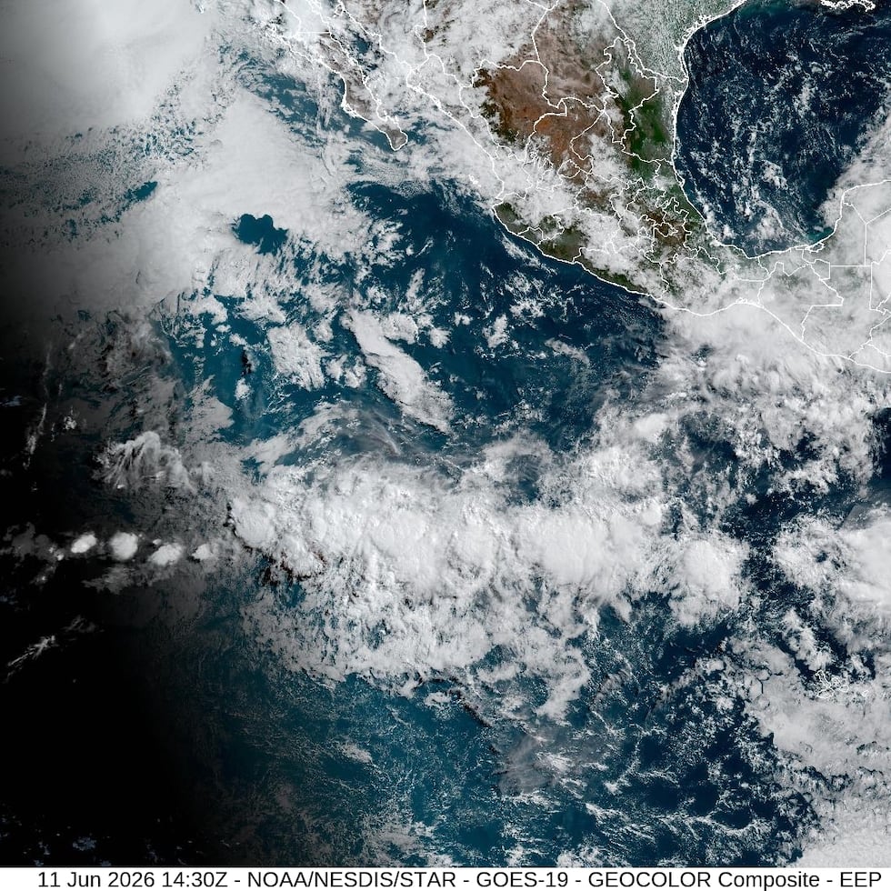 El fenómeno meteorológico de El Niño se formó en el Pacífico tropical, con la expectativa de ser "muy fuerte" y traer un período "prolongado" de temperaturas por encima del promedio.