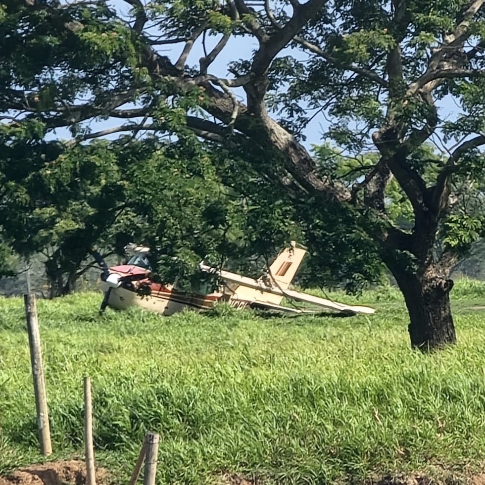 Ocurrió a orillas del río Grande de Loíza.