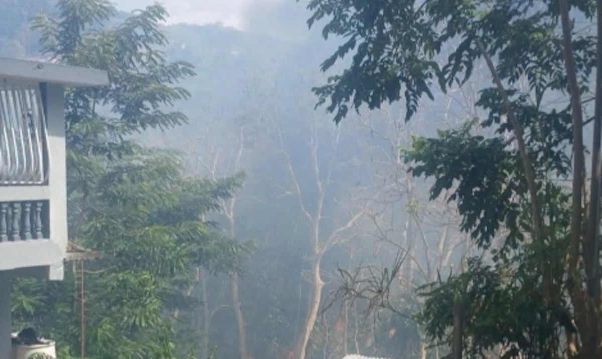 Desalojan a una familia tras incendio forestal reportado en Carolina
