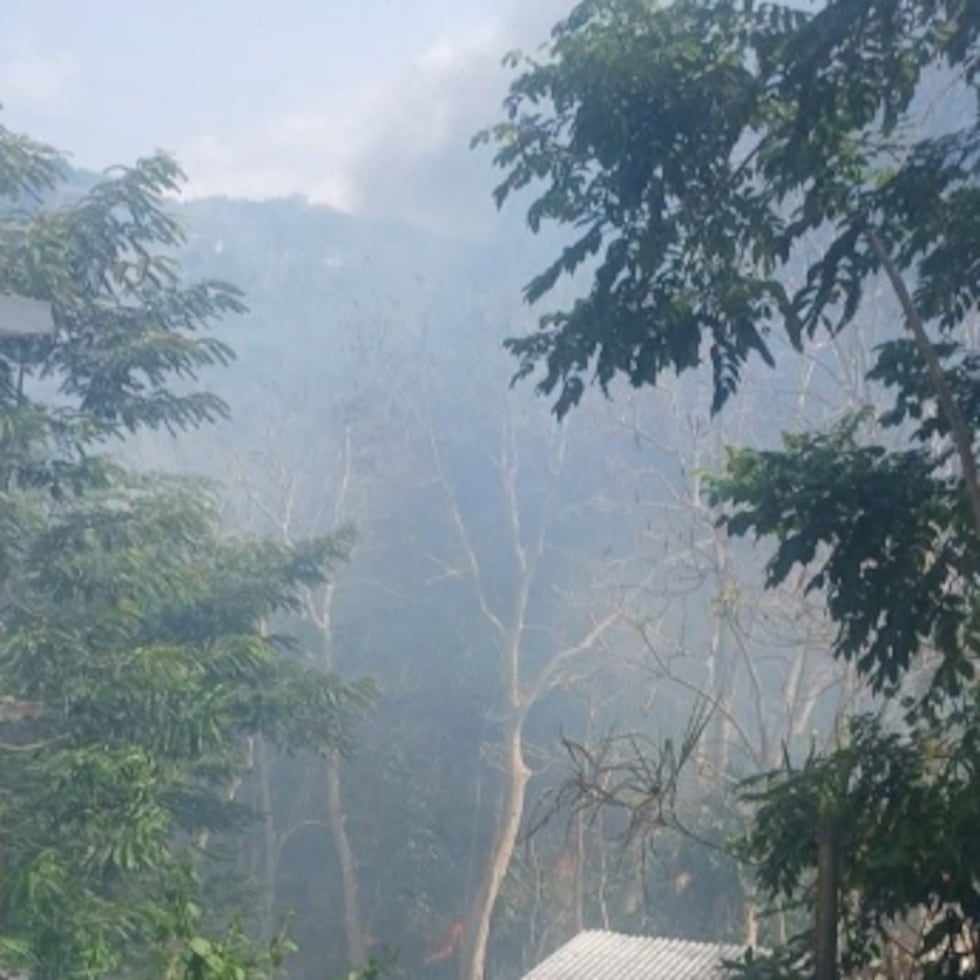 Imagen del fuego reportado en Carolina.