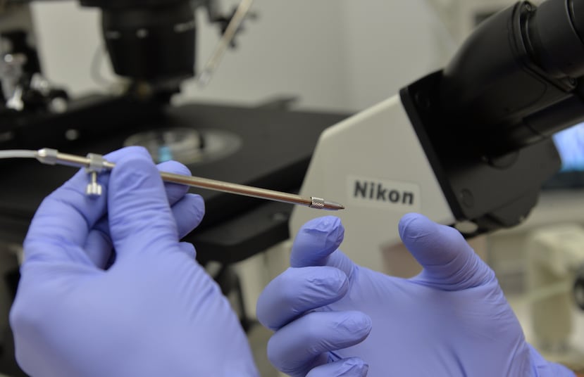 Cline "dijo que usó su propio esperma cada vez que no tuvo una muestra de donante", (Archivo / GFR Media)