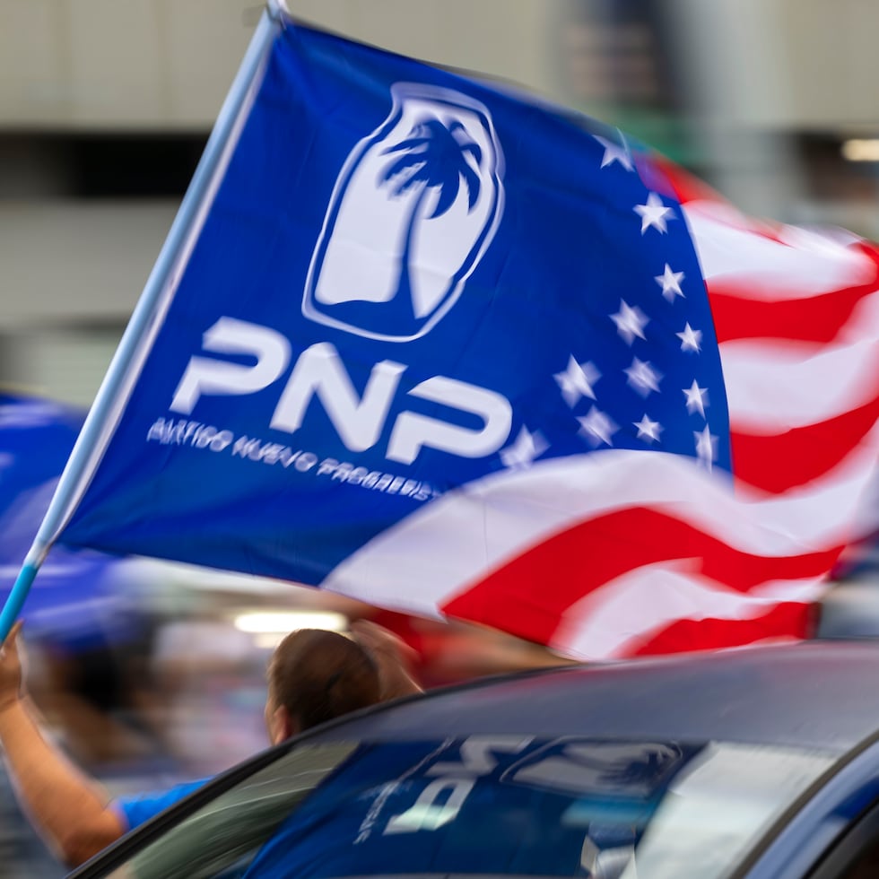 Perdimos el tiempo cuando el PNP destruyó nuestro Sistema de Salud Universal, vendió a precio de “pescao abombao” los hospitales y centros de diagnóstico y tratamiento que brindaban servicios gratuitos en todos los pueblos de la isla, señala Elsa Tió.