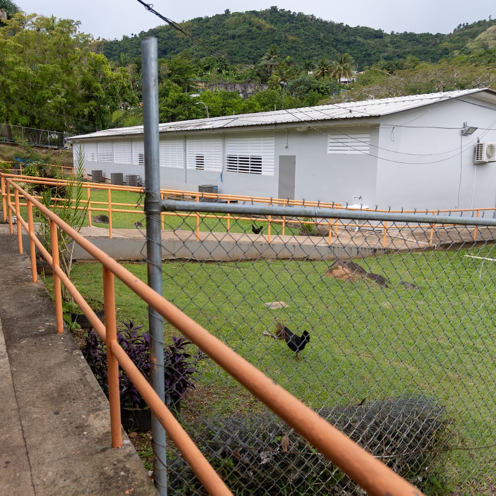MOB Enterprise, LLC., is represented in the lawsuit by former representative Mariana Nogales.