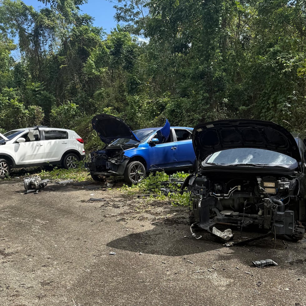 Confidencias recibidas por la División de Vehículos Hurtados de la Policía en Bayamón condujeron a los agentes hasta un cementerio de vehículos robados en una carretera de Dorado.