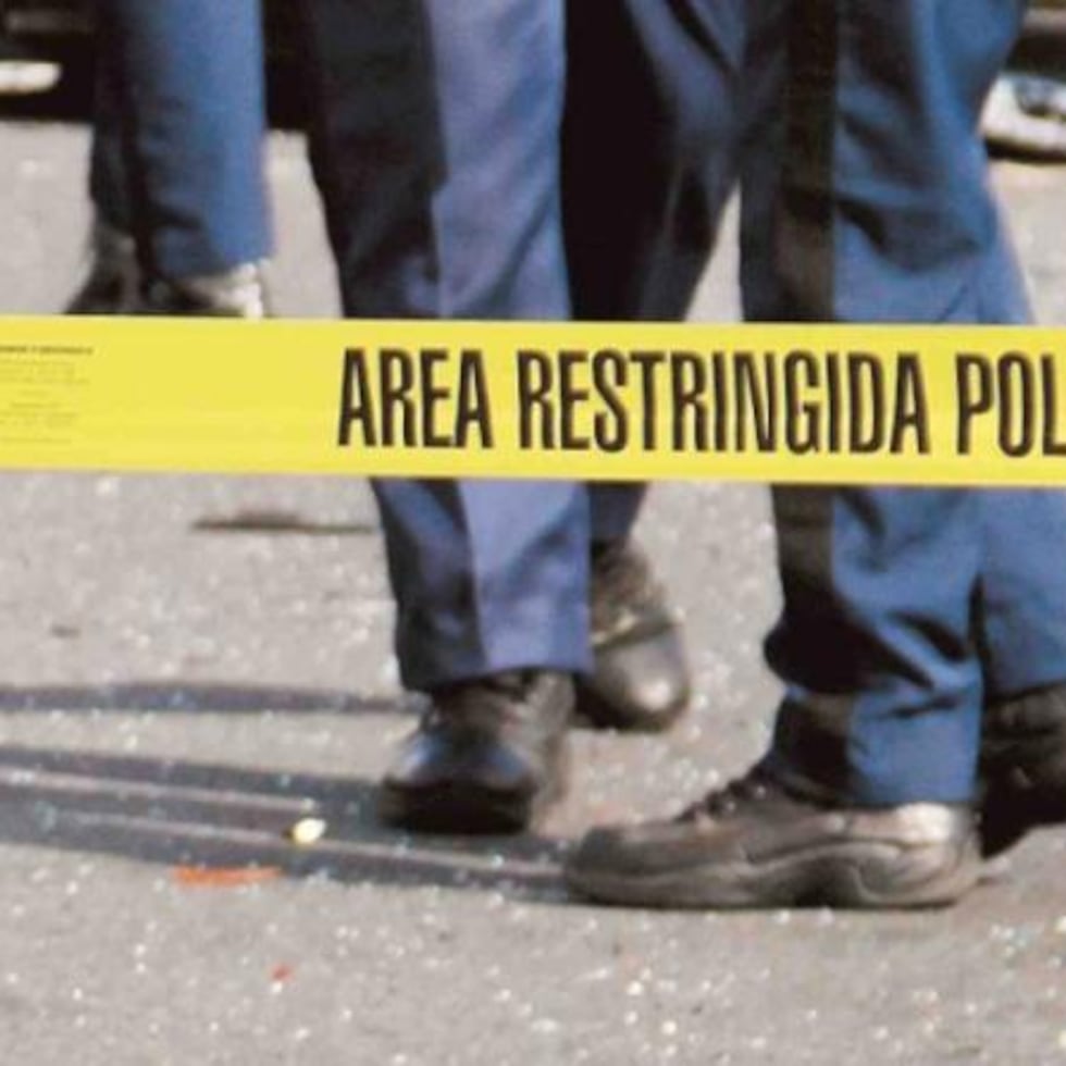 Hasta este lunes, la Policía había reportado 295 asesinatos en lo que va de este año, lo que representa la misma cantidad de casos registrados a la misma fecha en el 2025.