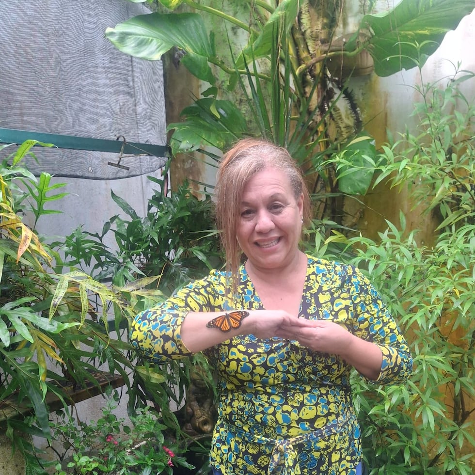 Desde 2008, Janelise Aldea Delgado lidera el proyecto Mariposario Alianza Verde, un espacio educativo pionero en las escuelas públicas de Puerto Rico.