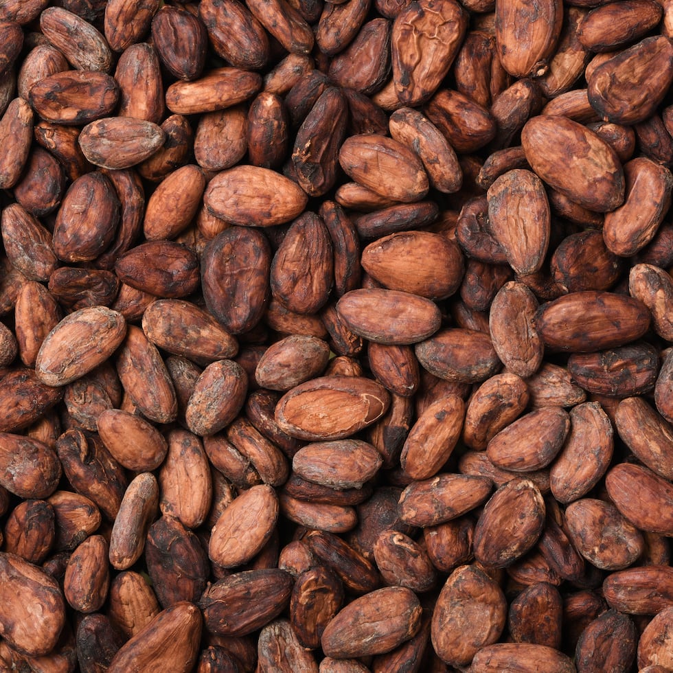 It has been just over a decade since the thorny path to raise the local cocoa industry began to be traveled, hand in hand with figures and private entities, along with the immutable will of farmers.