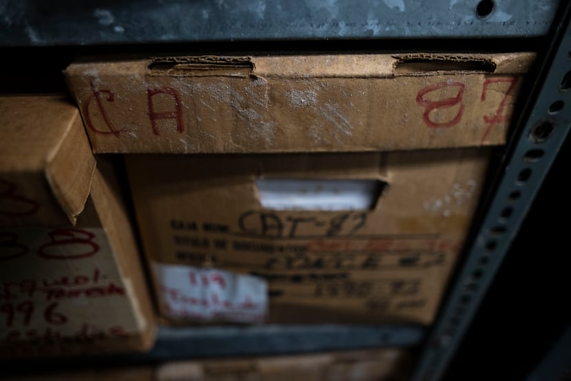 La presencia de hongos es notable en algunas de las áreas del Archivo.