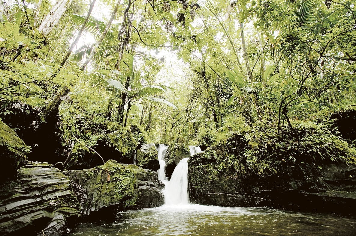 Imagen de la cobertura de: “Las guerras del agua” reflexiona sobre la relación con el mundo natural