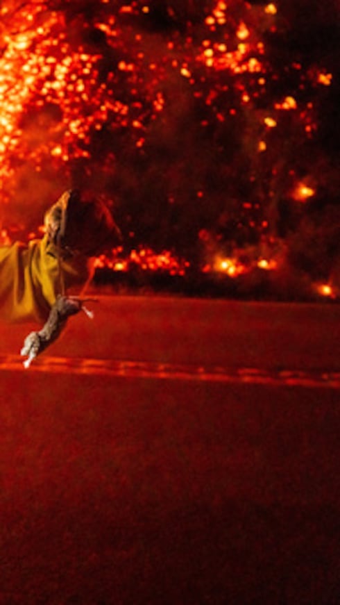 Un bombero traslada a un animal herido mientras el incendio de Plaskett avanza hacia la autopista 1.