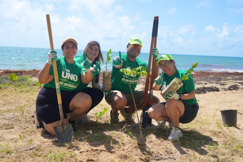 Rescate Costero cuenta con el apoyo de más de una decena de aliados estratégicos, entre ellos entidades sin fines de lucro y empresas privadas comprometidas con la conservación ambiental.