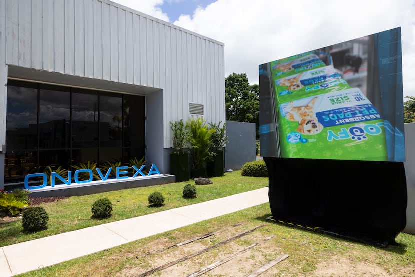 Se acelera la reactivación industrial en el este de Puerto Rico - El ...
