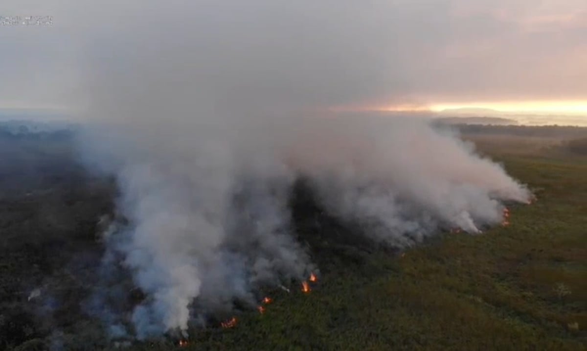 Bomberos logran alejar un fuego forestal de residencias en Vega Baja
