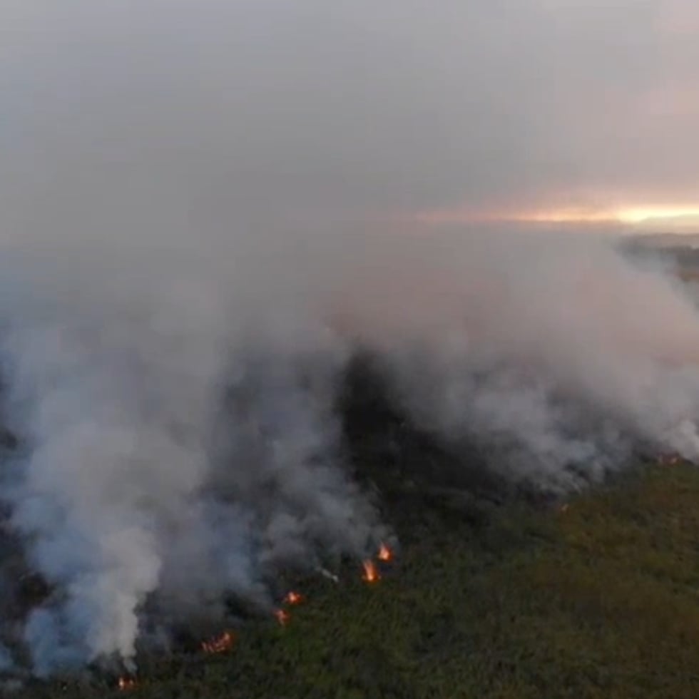 El Negociado del Cuerpo de Bomberos compartió imágenes del predio que continuaba afectado por un incendio forestal que han logrado alejar de las residencias en Vega Baja.