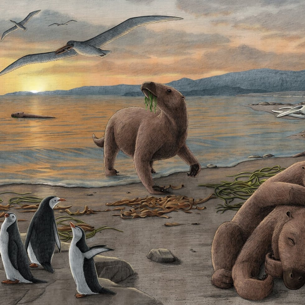 The bones of the fossil sloth are much denser and heavier than those of present-day sloths.