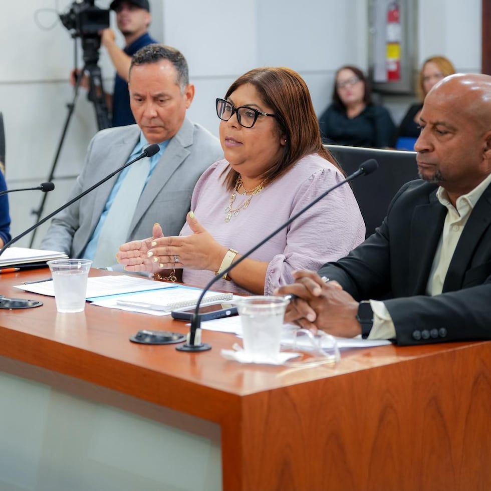 De izquierda a derecha, Rolando Meléndez y Maricarmen Rivera, en representación de la Oficina del Procurador del Ciudadano, y Edna Borges Rivera y William Thomson, en representación de AAA.