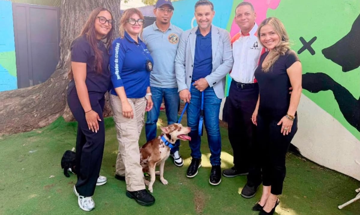Secretario del DRNA entrega a Pistacho a albergue y promete fomentar el bienestar animal