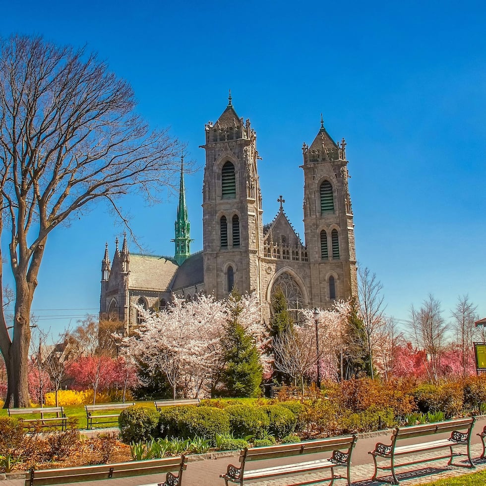 Catedral Basílica del Sagrado Corazón.
