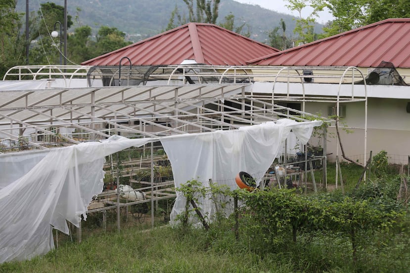 El Recinto de Utuado sufrió daños significativos tras el paso del huracán María, al igual que el resto de los recintos de la Universidad de Puerto Rico.