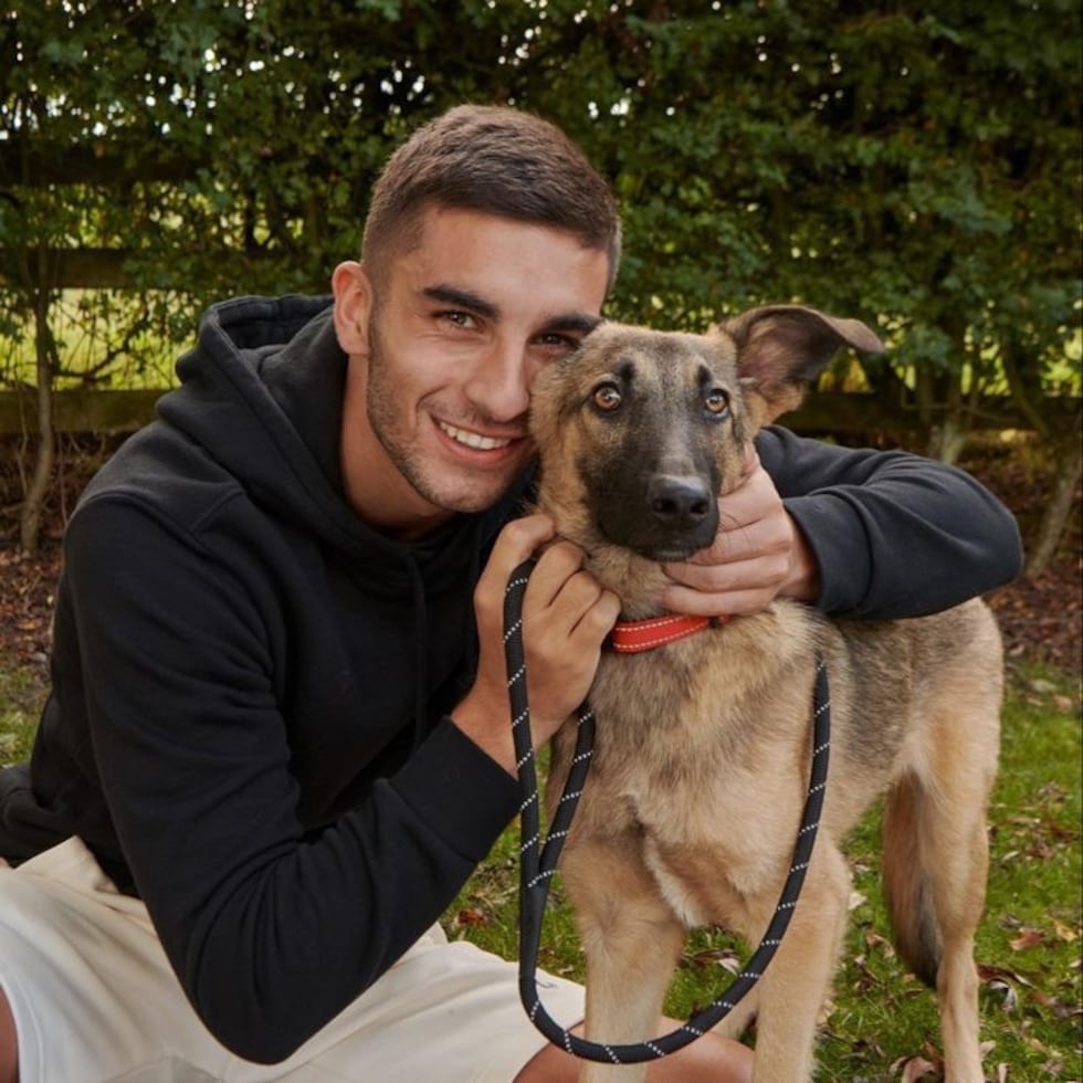 Ferran Torres también impulsa la protección de perros abandonados.