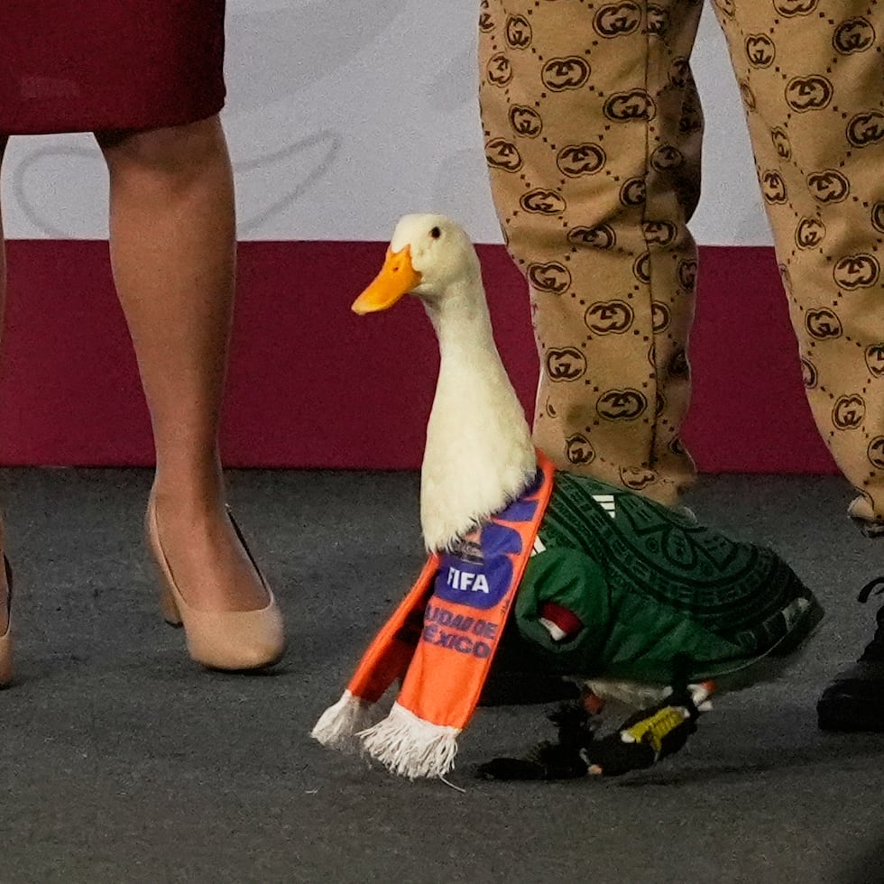 Merlín, el animal que se convirtió en la mascota mexicana de este Mundial, no respondió a las preguntas; lo hizo su dueña, Carla Gómez.