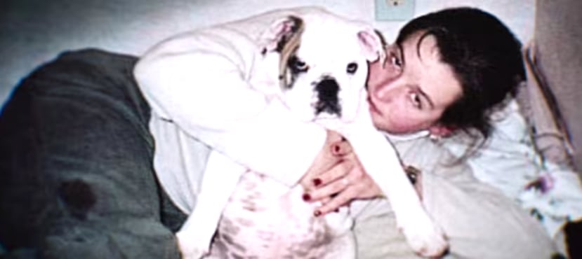 Se trataba de un viaje familiar de celebración. Amy contaba con nuevo departamento , empezaría un nuevo trabajo y acababa de adoptar un bulldog francés.