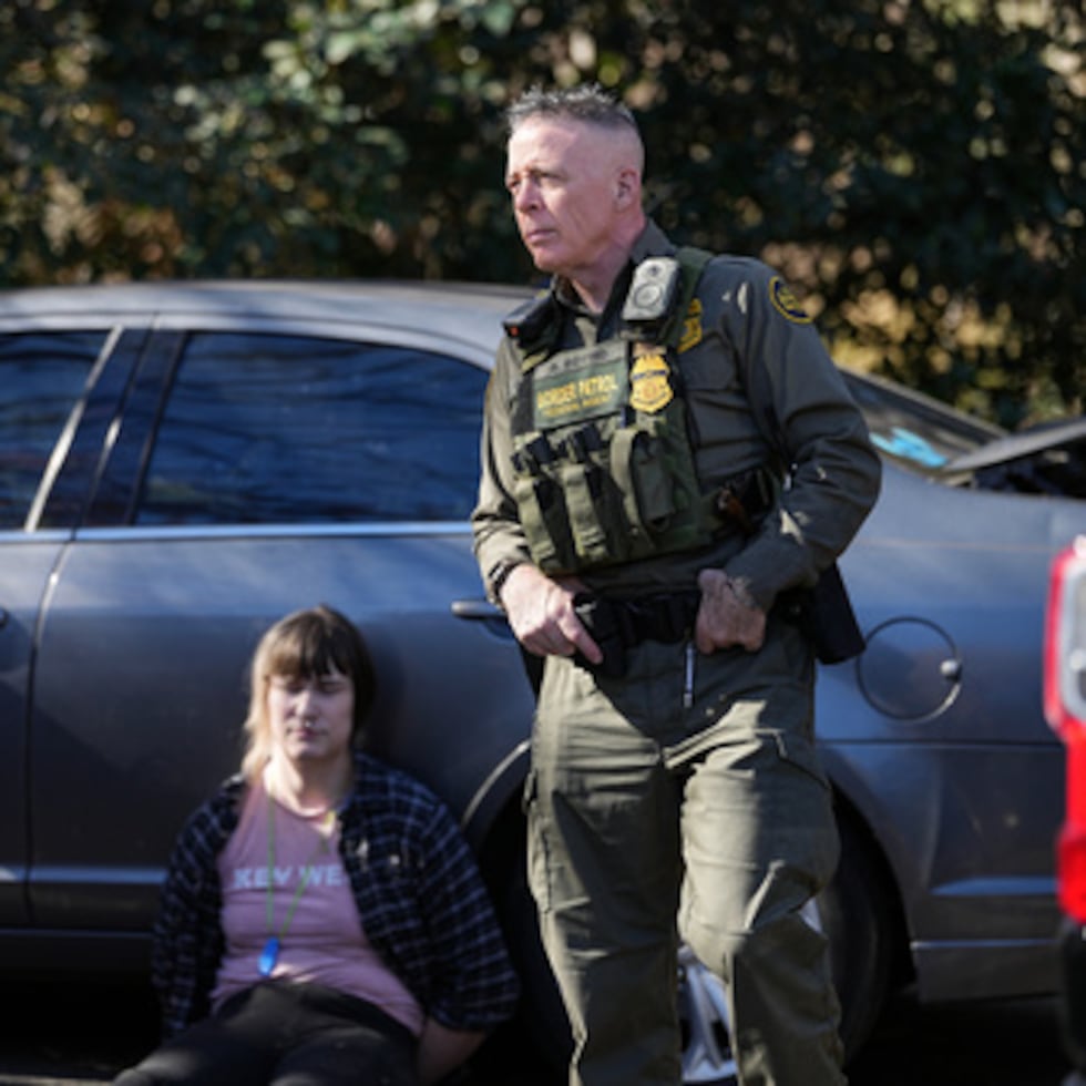 En “La telaraña de Carlota”, la araña protagonista dedicó su vida en la granja a conseguir la libertad de un cerdo llamado Wilbur.