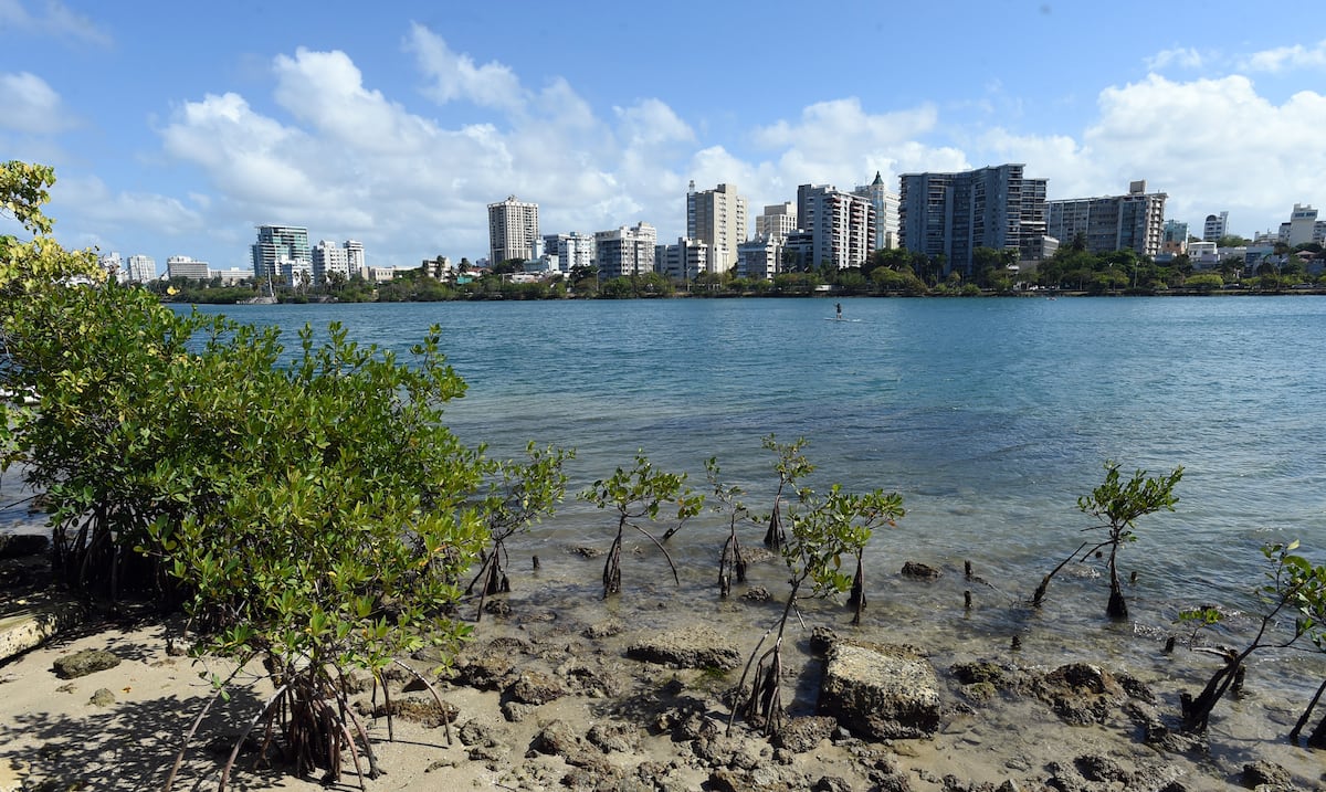 Estuario de la Bahía de San Juan convoca vista pública sobre su nuevo plan de acción