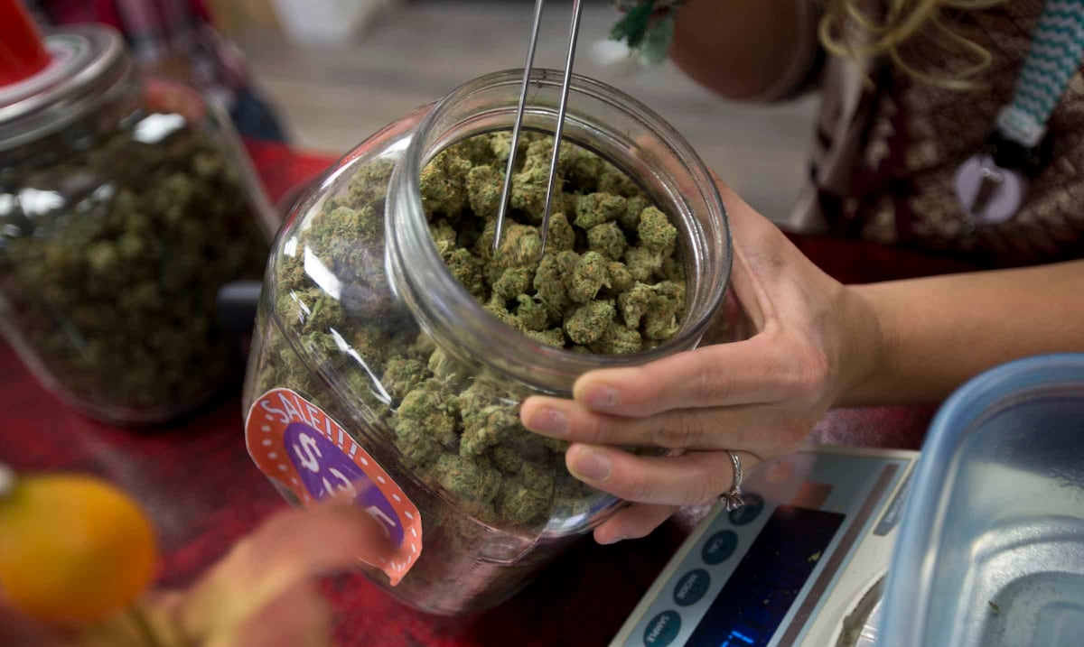 Pese a reclasificación federal: insisten en proyecto que prohíbe a pacientes de cannabis medicinal poseer armas de fuego