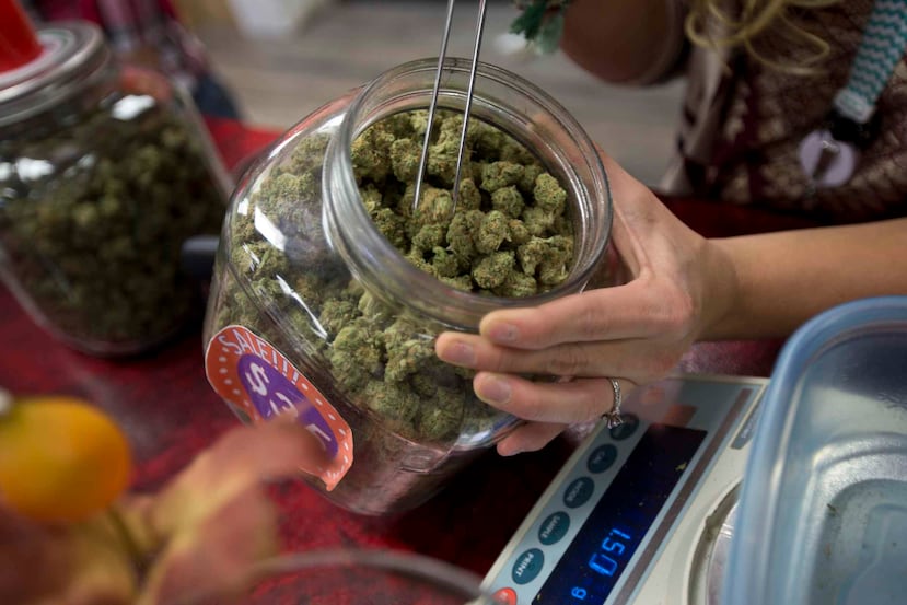La industria del cannabis medicinal en la Isla ha allegado $2.7 millones en aranceles al gobierno en menos de un año.