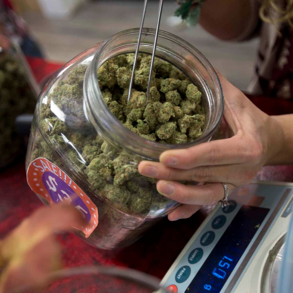 Según el Departamento de Salud, en Puerto Rico, hay 110,372 pacientes activos de cannabis medicinal. (Archivo)
