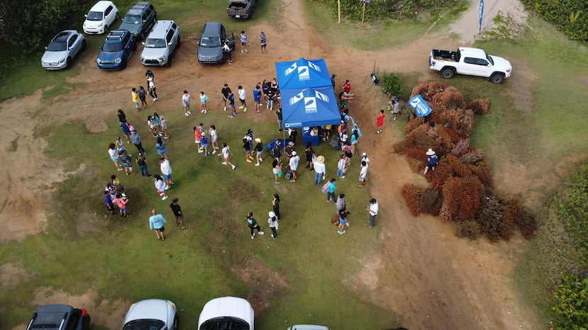 Surfrider Puerto Rico ha colectado pinos naturales de Navidad por los pasados tres años.