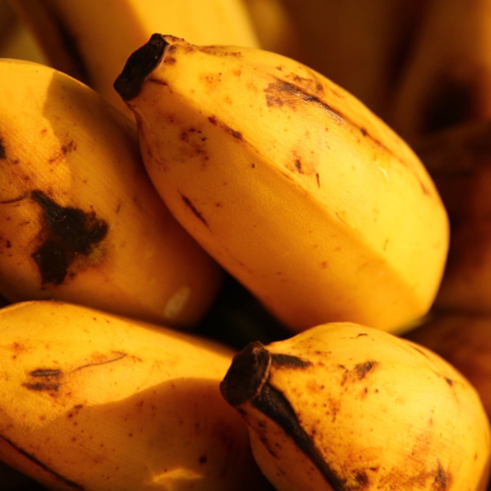 Los guineos son frutas tropicales que contienen una sustancia llamada etileno, lo que hace que cambien de color, de amarillo hasta finalmente volverse marrones.