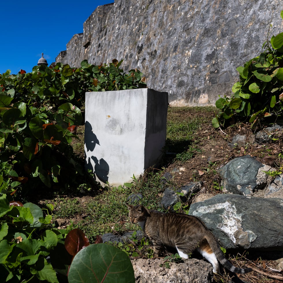 El cierre parcial del camino que bordea el Castillo San Felipe del Morro podría comenzar tan pronto como este lunes.