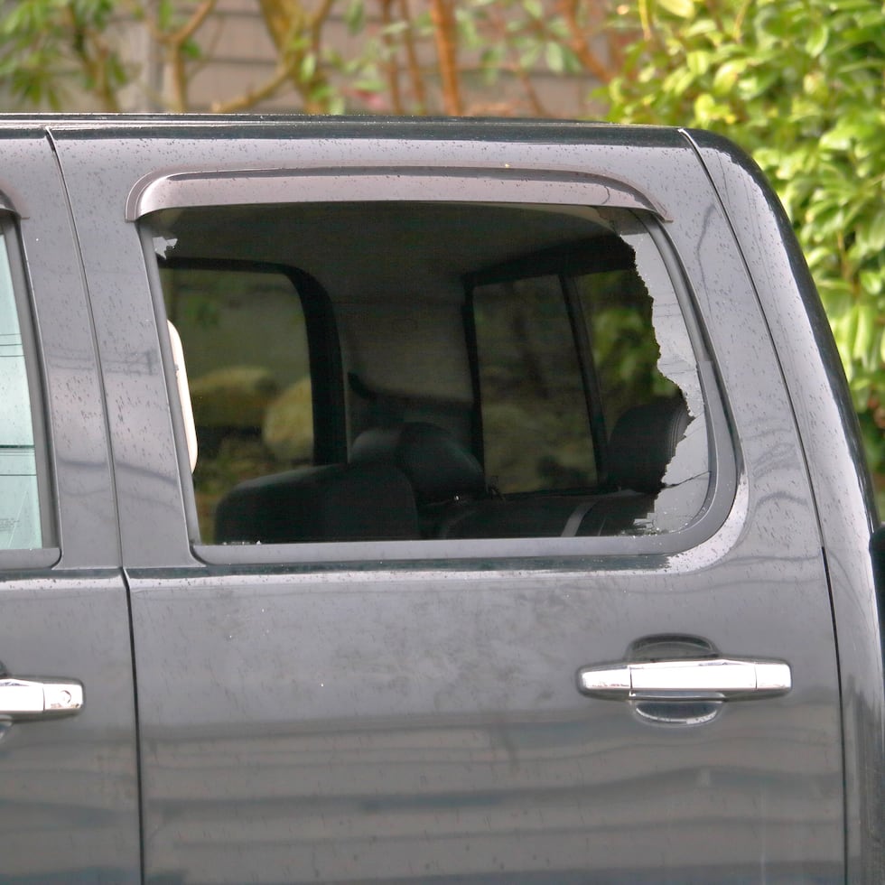 In view of the increase in illegal appropriations, the police increased surveillance in urban centers and shopping malls to protect citizens from this type of crime.