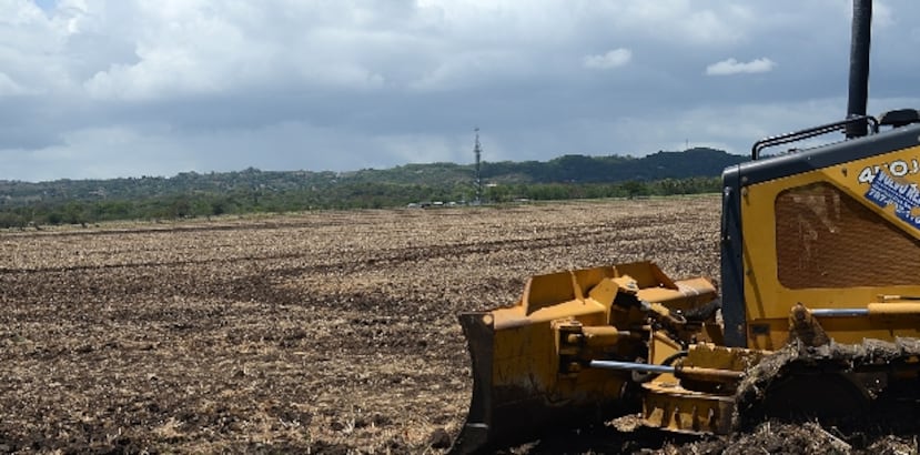 Los proponentes de la iniciativa dicen que sembrar arroz y otros productos en el Valle de Lajas en tiempos en que el país vive momentos difíciles económicamente es una tranquilidad. (GFR Media / Olimpo Ramos)