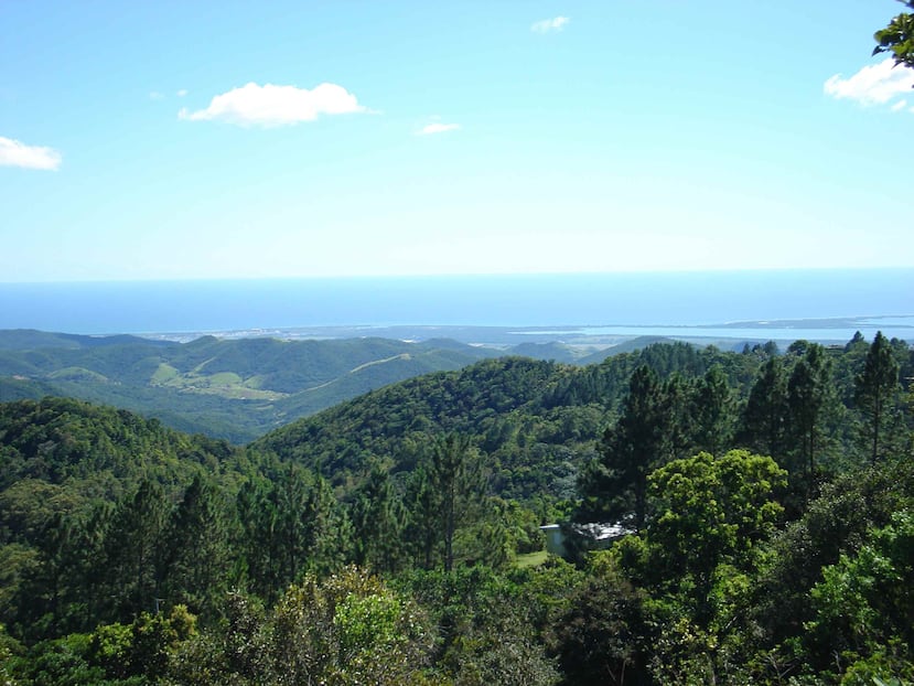 Se espera que las condiciones del tiempo permanezan estables hasta mediados de la semana. (Archivo)