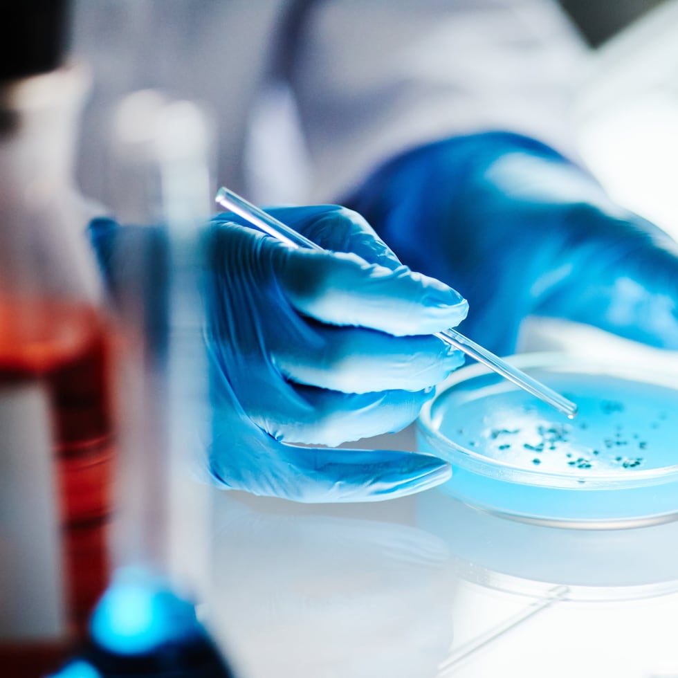 Last fiscal year, the Science, Technology and Research Trust Fund was only able to finance 13 projects due to resource limitations.