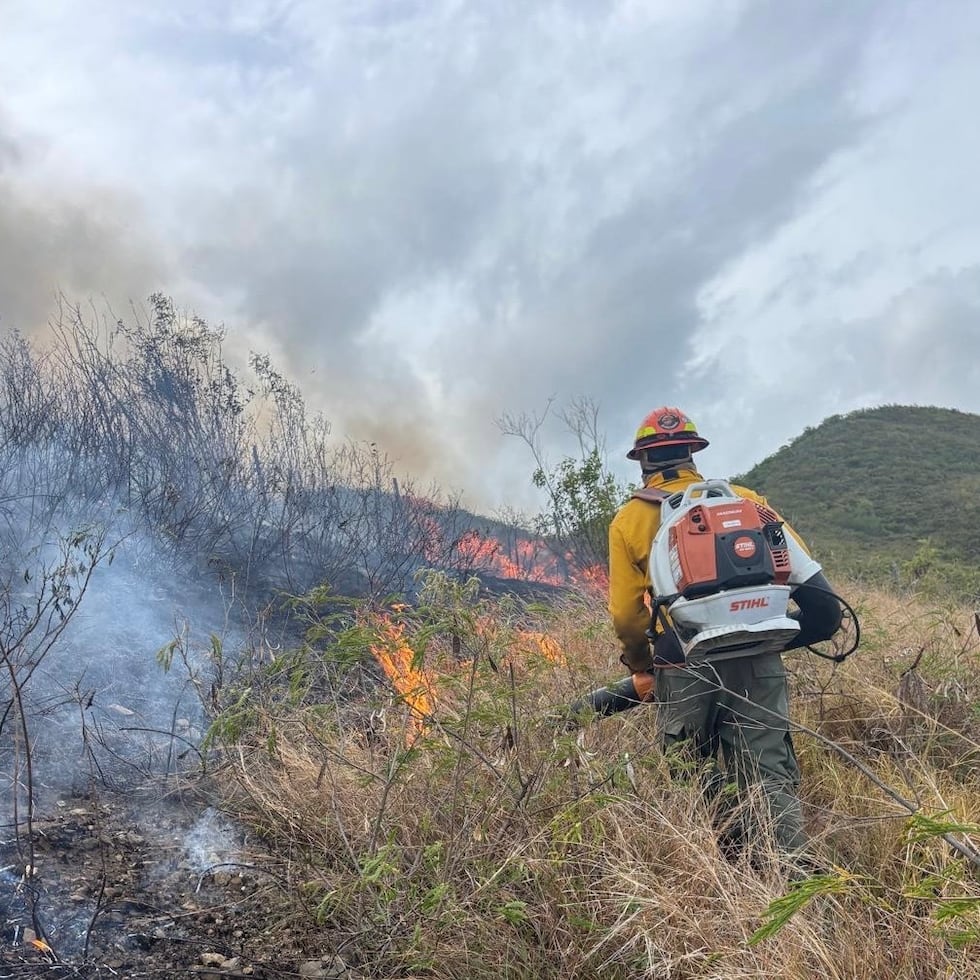 El incremento ocurre en momentos en que sectores de la isla registran condiciones atípicamente secas, con áreas bajo sequía moderada y severa, particularmente en zonas del sur, una de las regiones donde históricamente se reportan más incendios forestales.